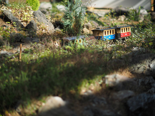 �h�[���n�E�X�Ƃ͊֌W�Ȃ��̂��ȁH
���͋C�͗ǂ��ł�_�����h�[���n�E�X���p��