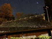 staygold̋RƏZ̓eʐ^1