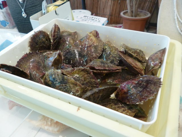 ���̊L�̒�����D���Ȃ̂�I�т܂��B_�^��삾���̌��@�a��{�^����X