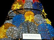 qt̃UEyjV BOUTIQUE & CAFE̓eʐ^1