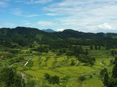 �����̒I�c�̎ʐ^1