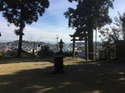 Sakamoto119̐i򗲎j_Ђ̓eʐ^13