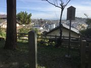 Sakamoto119̐i򗲎j_Ђ̓eʐ^15