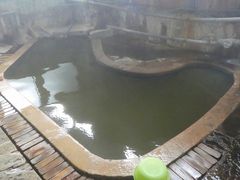 マックさんの東鳴子温泉の投稿写真9