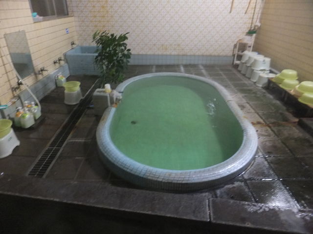 ���ё��̔M�߂̓��̗���_��������