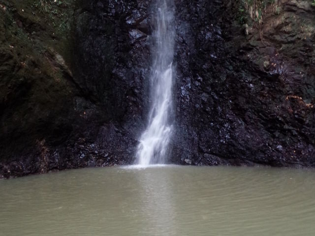 ��������V����A�U��R�[�X_�ԉŊX���ƍ���A�����V����A�U��R�[�X