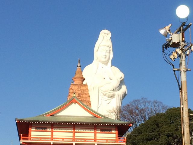 �v���Đ��c�R