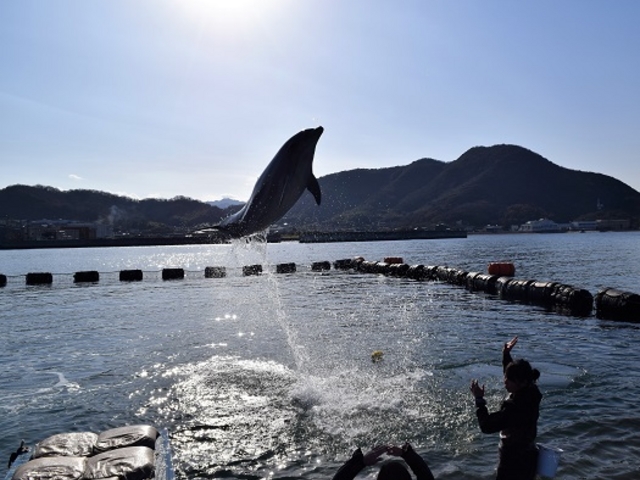 ���{�h���t�B���Z���^�[