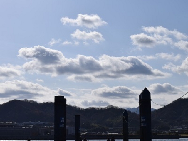 ���{�h���t�B���Z���^�[