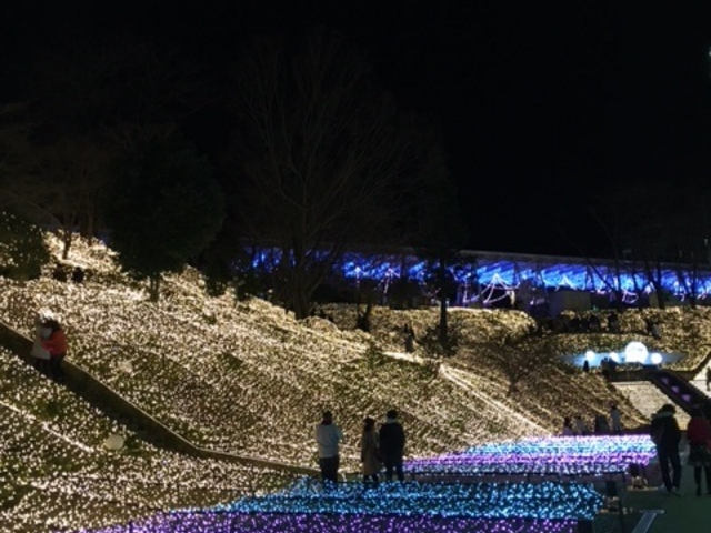 �������C���~�@_�������䂤����