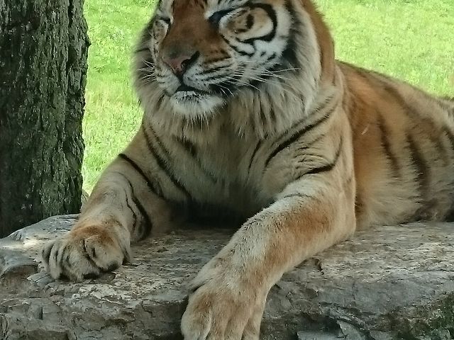 �H�g�䎩�R���������T�t�@�������h