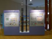 gNT̓{q͔dij։ꌴq͊ق̓eʐ^4