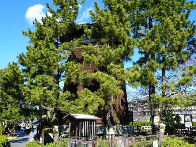 草加松原「松並木」（国指定名勝おくのほそ道の風景地草加松原