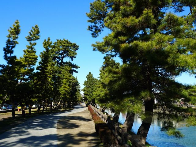 ���т��Y��_���������V����