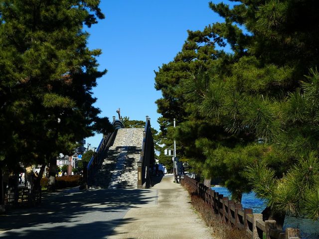 �V�����ƕS�㋴_���������V����