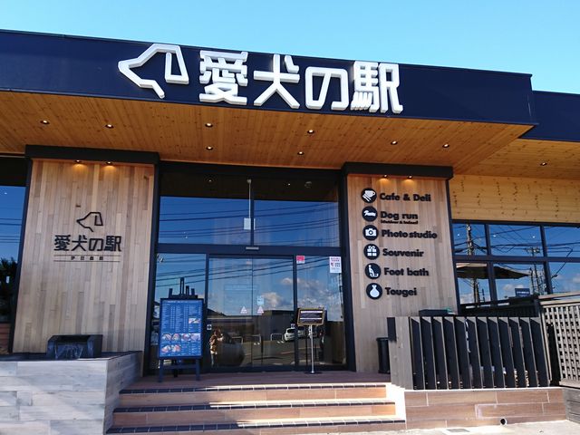 �������������͋C�̓����ł�_�����̉w