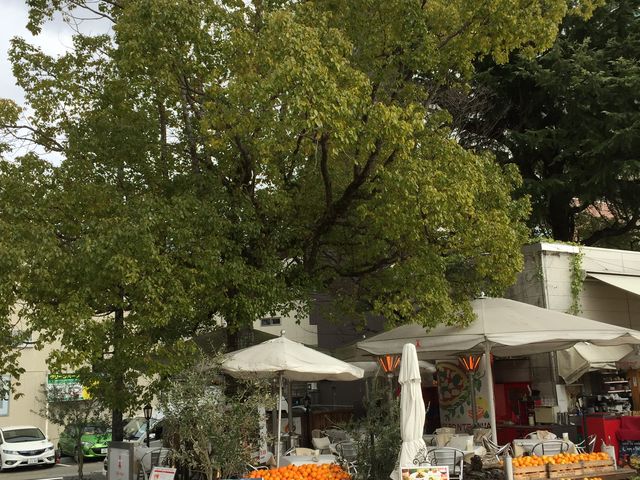 O_Cafe Ponte ITALIANO