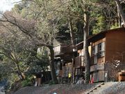 5525̃LsORe[WɓރLv̓eʐ^2