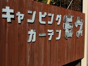 5525̃LsOK[fuNv̓eʐ^1