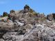 マックさんの十六羅漢岩の投稿写真9