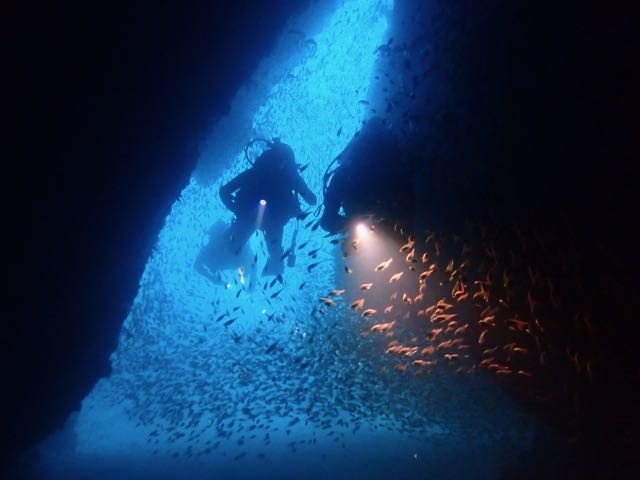 �����̓��A�Ƌ��̌Q��̃R���{�I_�A�C�_�C�u