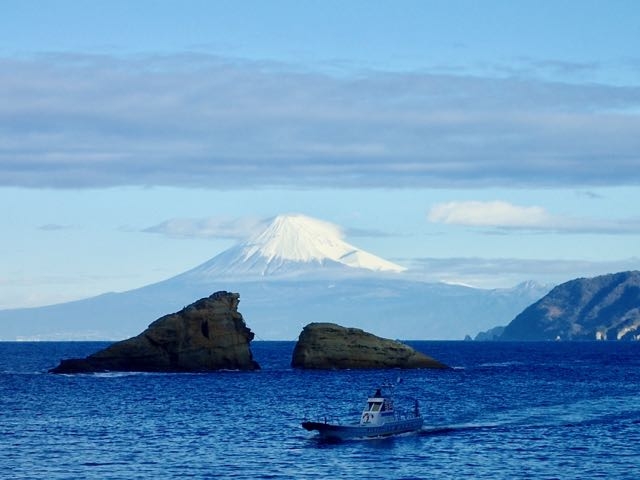 �_���E������ƕx�m�R_�A�C�_�C�u