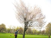 `܂˂̗΃Pu̍̓eʐ^1