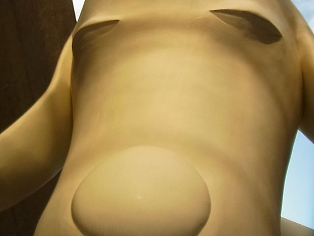 �{���ɑ傫�ȁu�������茢�v_�X�������p��