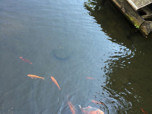 �����r_�V��t���R����