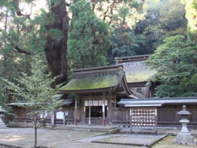 �ዷ�P�_��_�ዷ�P�_��