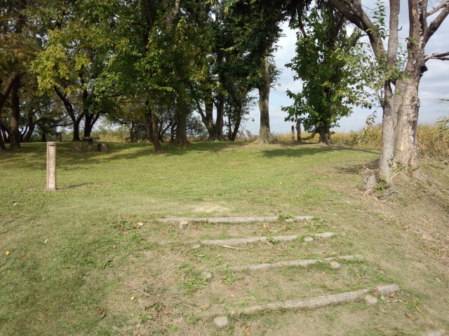 �J�����j�ՕۑS�]�[��