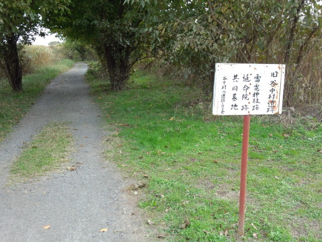 �J�����j�ՕۑS�]�[��