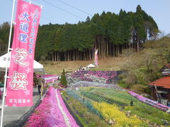 LOTTY̑哹ōւ̓eʐ^1