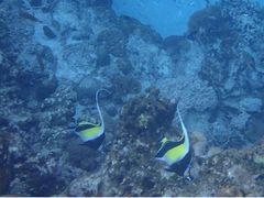 keinet̃}[v_Ngւ̓eʐ^1