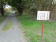 komo̒JjՕۑS][̓eʐ^5