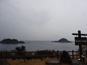 �L������͖̌ؓ�C�݂̓��e�ʐ^2