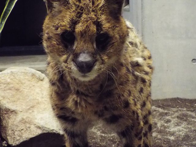 �~�R������