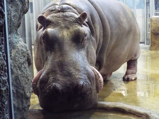 �~�R������