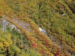 x[vEGCԂ̍gt̎ʐ^1