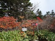 ӂ날r[̌bߎR̓eʐ^1