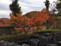 akiちゃんさんの大子温泉保養センター森林の温泉への投稿写真1