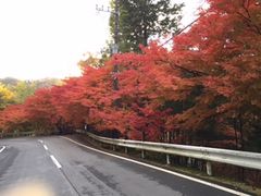 aki񂳂̌҂݂̑ւ̓eʐ^1