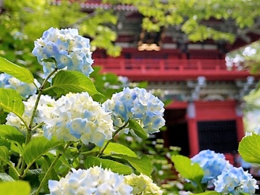 ベネフィット ステーション