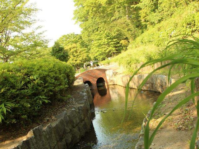 ��_�R������i�����炬�Ҋ����j