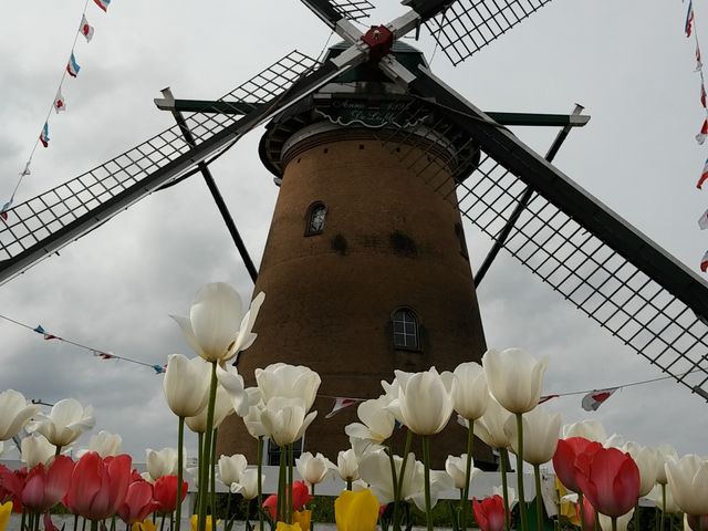 �I�����_���ԃ��[�t�f