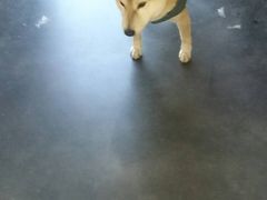 ݂̃ANACOjXЉւ̓eʐ^1