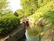 Autumn Leaves̎Ri炬Ҋj̓eʐ^1