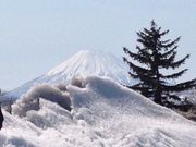 poporon̓̉w ]rR̓eʐ^1