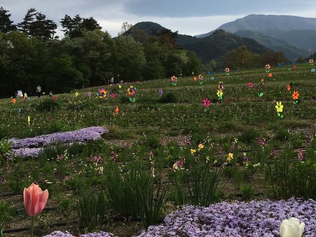 ��������̕���_���c�A���v�X���Â݂̌����@�x���E�䍂�n��