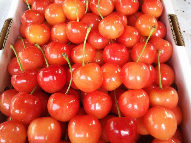 ƂĂ̂ŁAs[g܂I_̉w \ ܂߂ł炪`